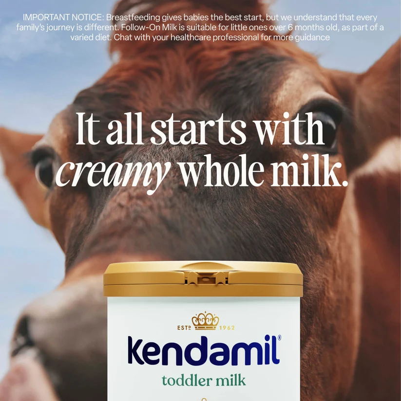 Kendamil Classic Toddler Milk 3 From 12 To 36 Months 800G