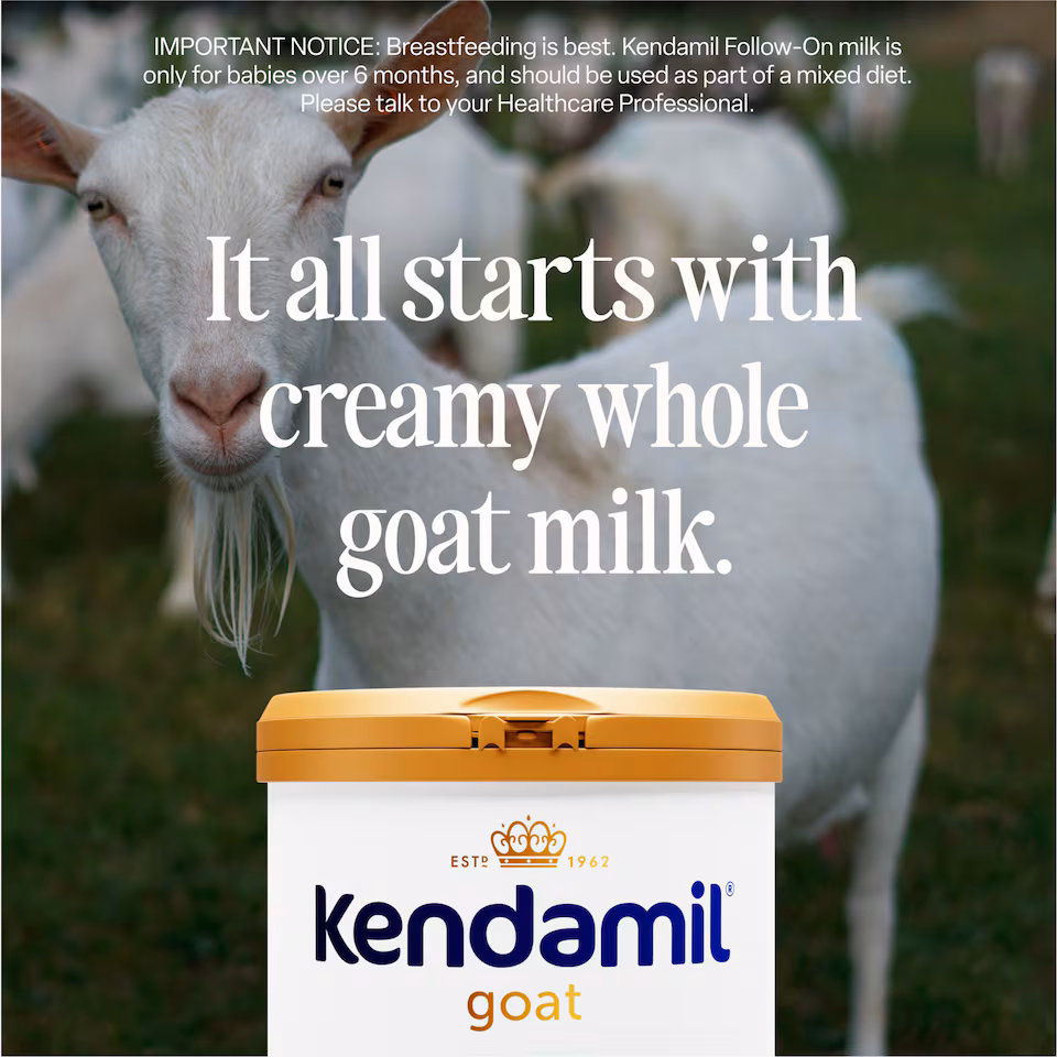 Kendamil Goat Toddler Milk Stage 3 12 To 36 Months 800g
